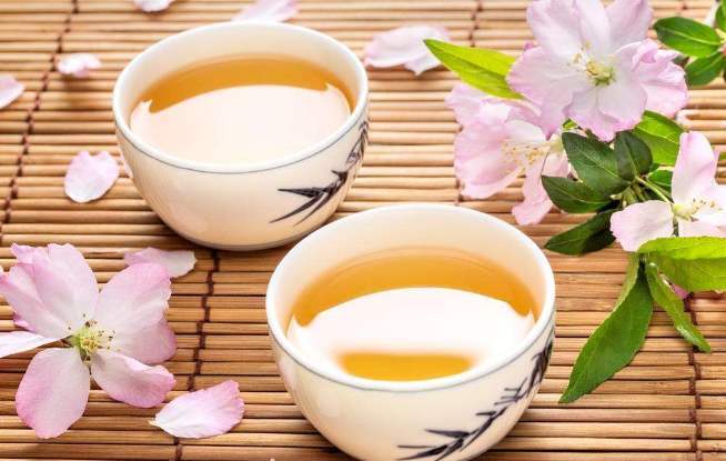 苍术茶的功效与作用喝苍术茶的好处有哪些